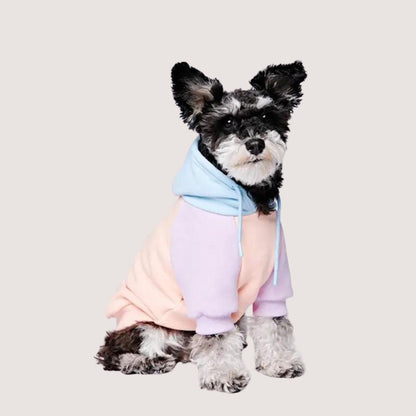 Paw-sitive Vibes Dog hoodie