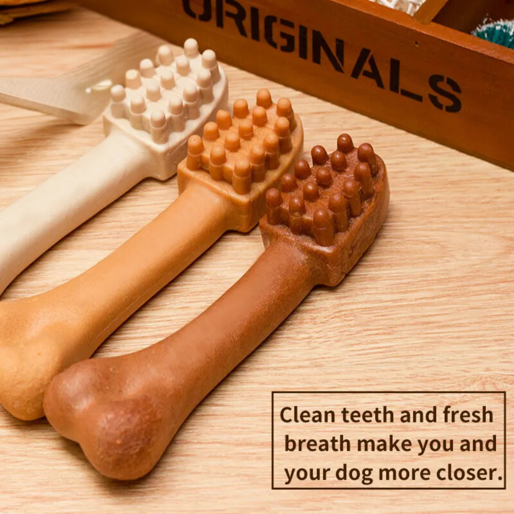 Chew & Clean Bone – Nutritious Treat and Dental Care for Dogs